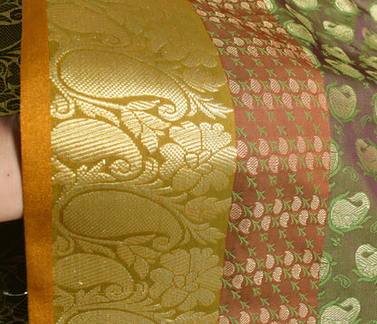 Indian Green Dual Tone Sari Banarasi Art Silk Saree with Blouse Gold Zari Woven