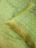Banarasi Silk Indian Bed Set – Green Cushion & Pillow Covers Woven Zari Brocade