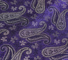 Long Stole Indian Art Silk Woven Banarasi Soft Violet Dupatta