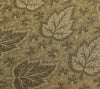 Long Stole Indian Art Silk Woven Banarasi Soft Dupatta Cream