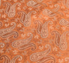 Long Stole Indian Art Silk Woven Banarasi Rust Women Dupatta