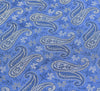 Long Stole Indian Art Silk Woven Banarasi Soft Women Dupatta Blue
