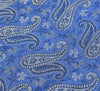Long Stole Indian Art Silk Woven Banarasi Soft Women Dupatta Blue