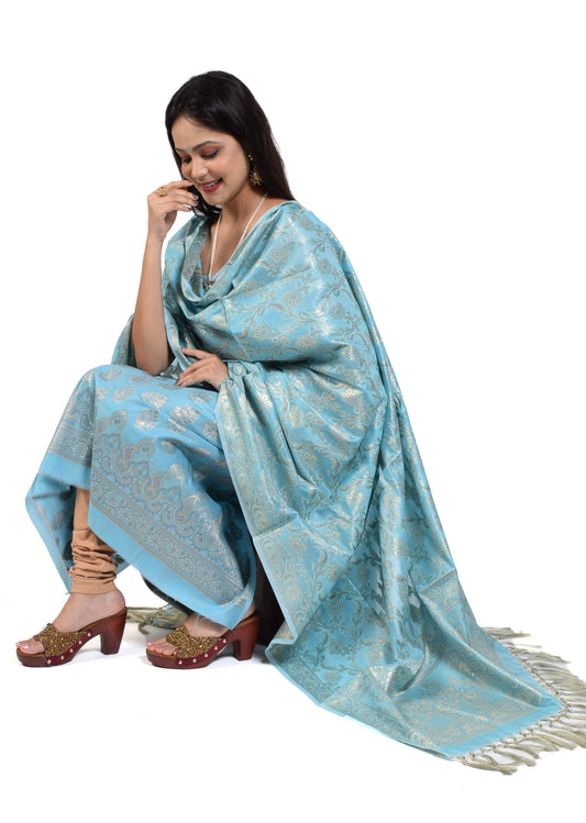 Banarasi Vastra Cotton Silk Dress Material Woven Salwar Kameez Dupatta Set Blue